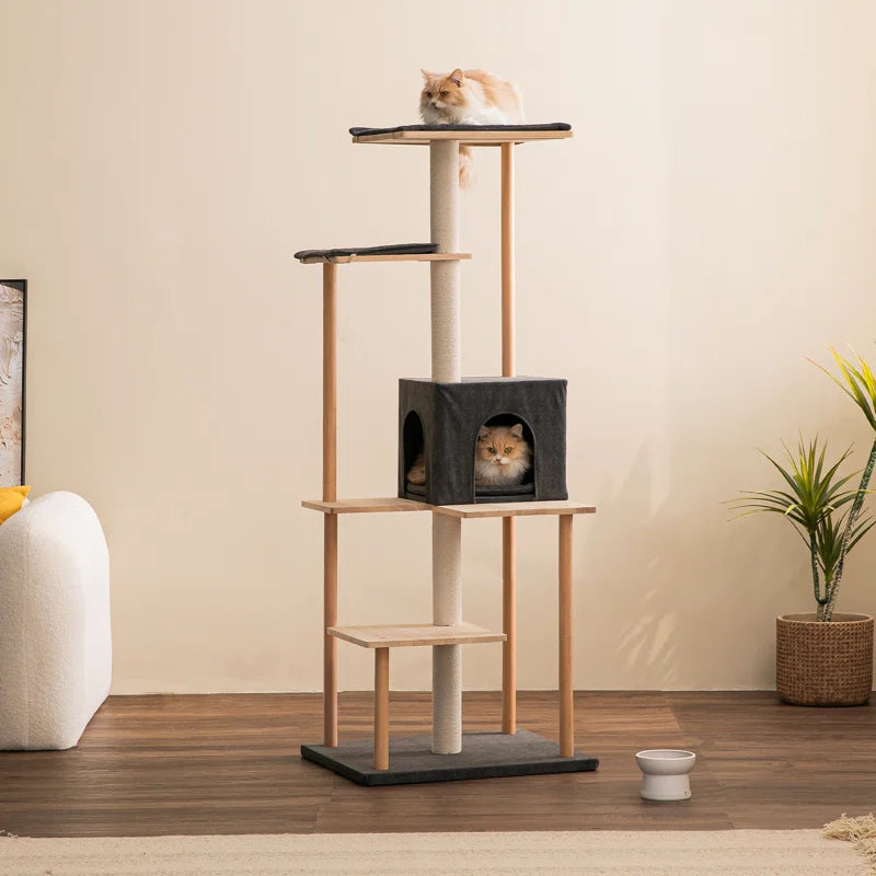 Daiym 63'' H Cat Tree