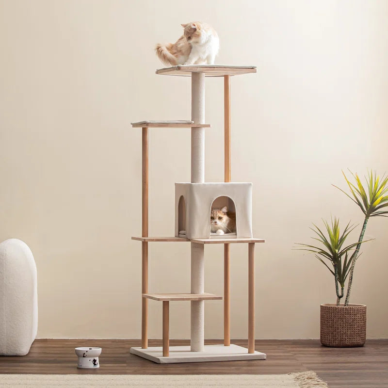 Daiym 63'' H Cat Tree