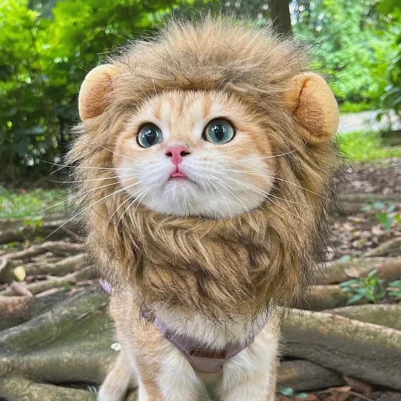 Cat Lion Wig Funny Costume Puppy Halloween Cosplay Dress up Clothes Cute Pet Hat for Small Dog Kitten Party Accessories