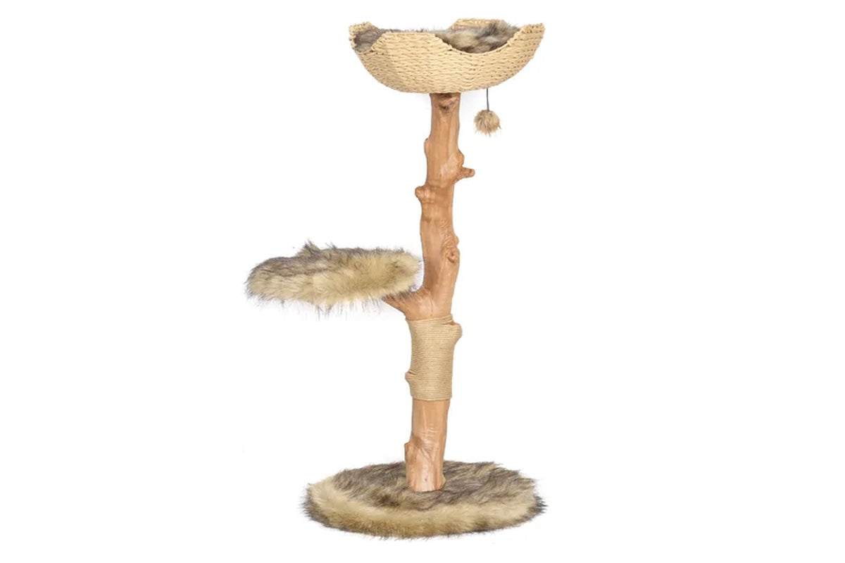 Lina 46'' H Cat Tree