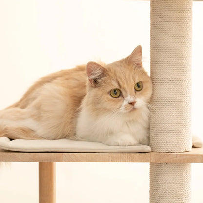 Daiym 63'' H Cat Tree