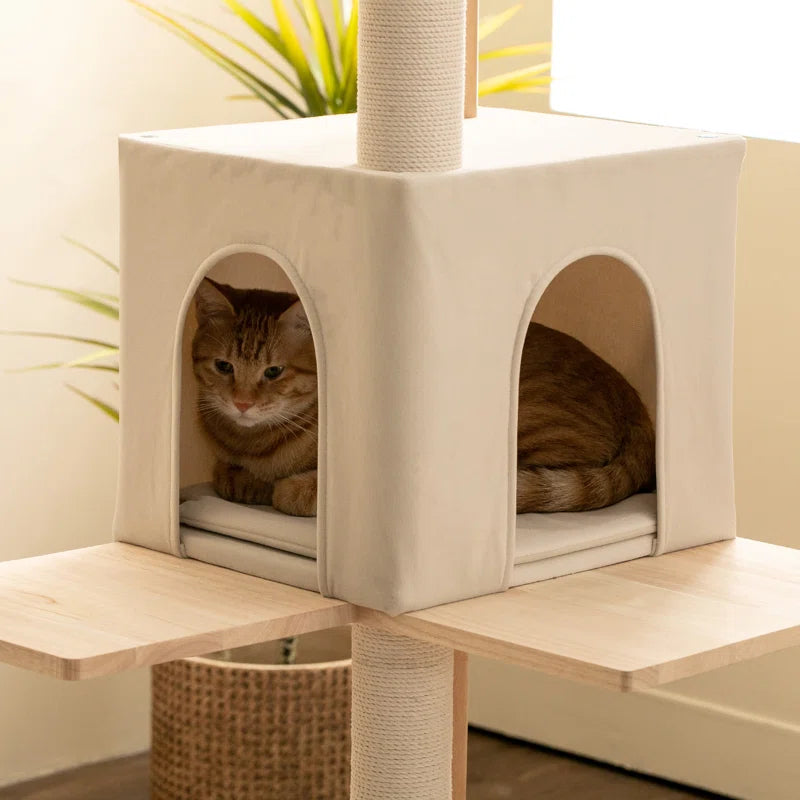 Daiym 63'' H Cat Tree