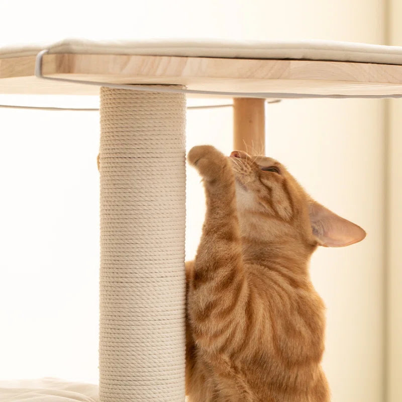 Daiym 63'' H Cat Tree