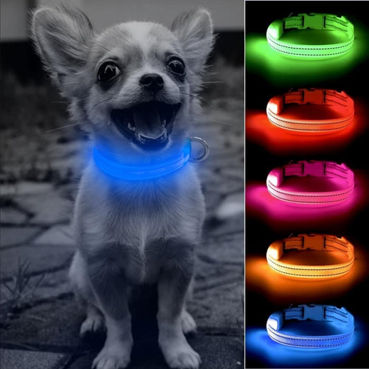 Puppy LED Dog Collars - USB Rechargeable Light up Dog Collar Adjustable Reflective Pet Collars Keep Your Small Dogs and Cats Be Seen & Safe in the Dark (XS, Royal Blue)