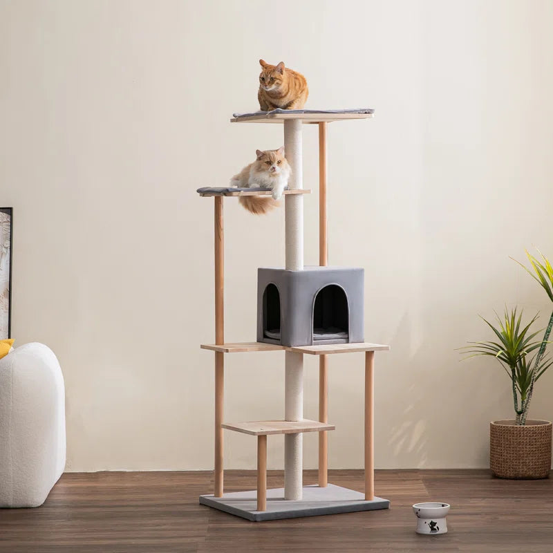 Daiym 63'' H Cat Tree