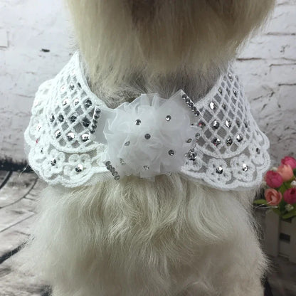 Pearl Jewelry Fake Collar for Dogs Wool Jacket Clothes Winter Pet Woolen Coat Cat Wadded Bandana Puppy Apparel Yorkie Outfit Pug